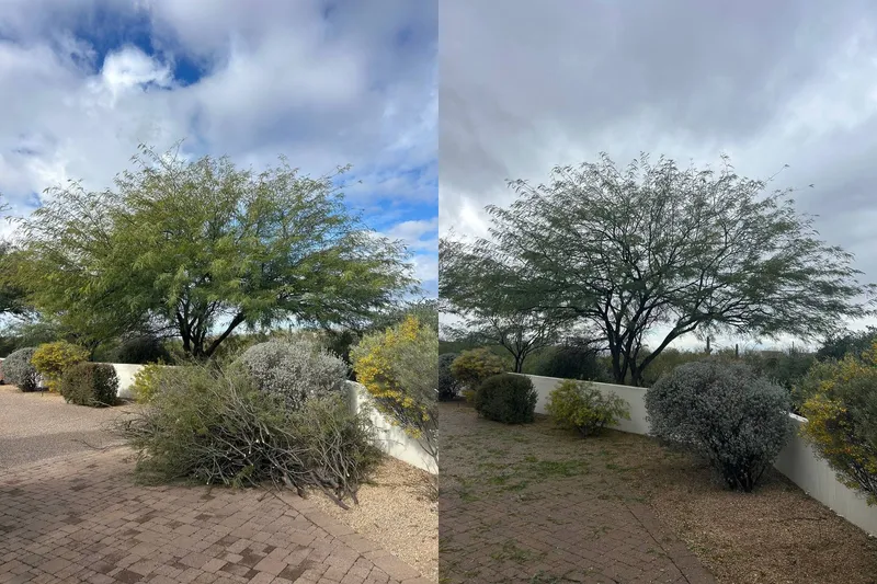 Before and after of a crown cleaning and shaping